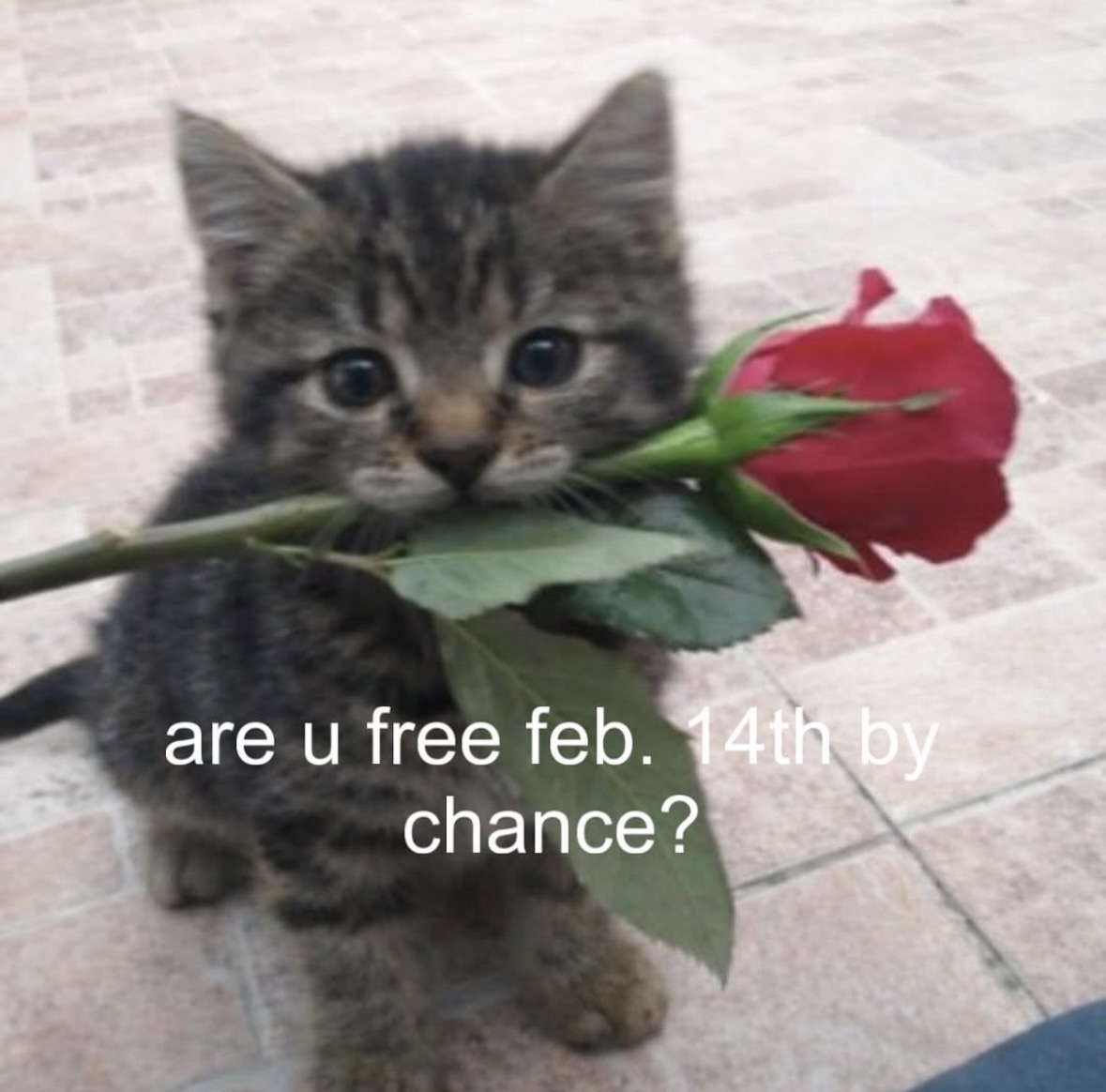 наша фотография