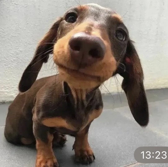 наша милая фотография