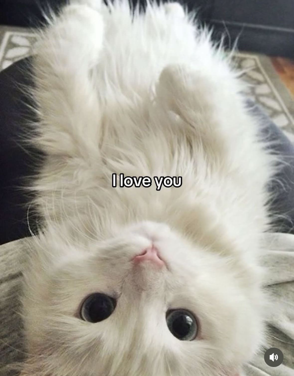 секретная картинка 2